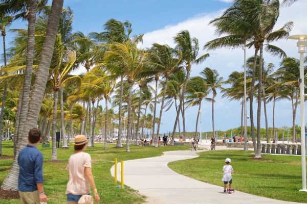 People strolling and biking along a palm-lined path on a sunny day, with a clear blue sky and gentle breeze.