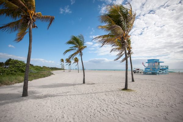 A sandy beach with swaying palm trees, a blue lifeguard hut, and a clear blue sky over a tranquil ocean.