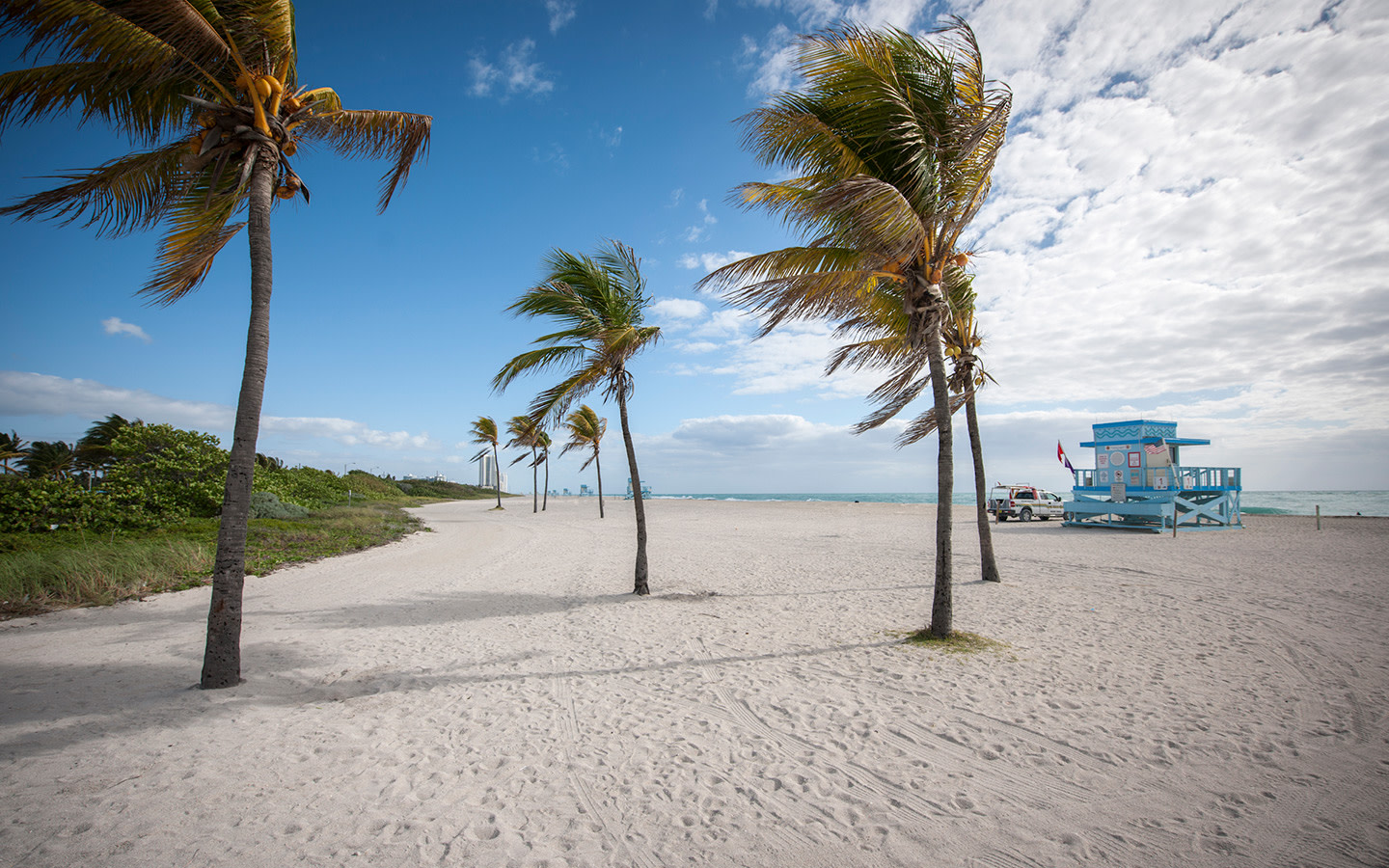a beach with palm trees and a lifeguard station