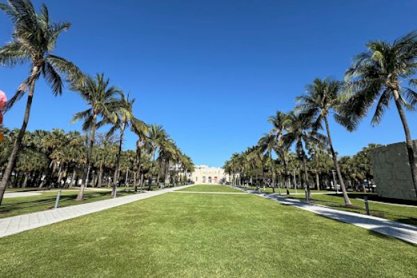 A grassy pathway lined with palm trees leads to a distant building under a clear blue sky.
