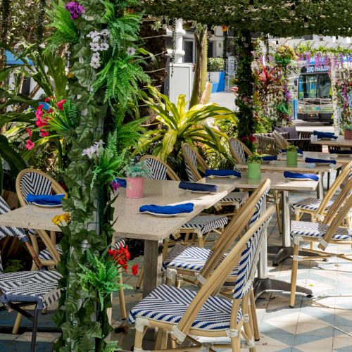 An outdoor cafe with decorative plants, blue napkins on tables, and patterned chairs. A bus is visible in the background.