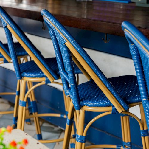 Blue and tan woven bar stools at a counter with bottles and plants visible in the background.