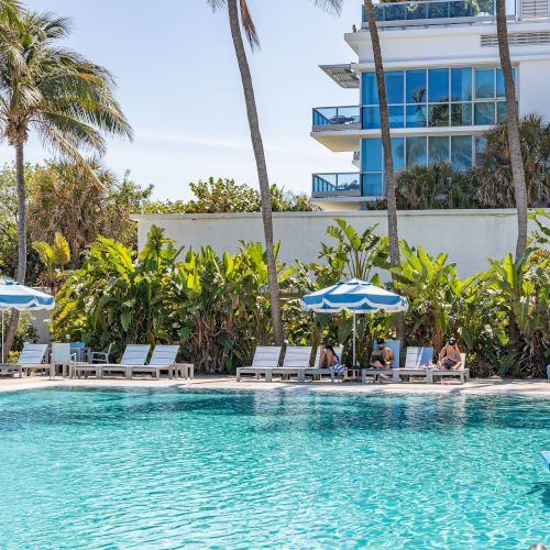 A serene poolside scene with lounge chairs, umbrellas, and palm trees under a clear blue sky.
