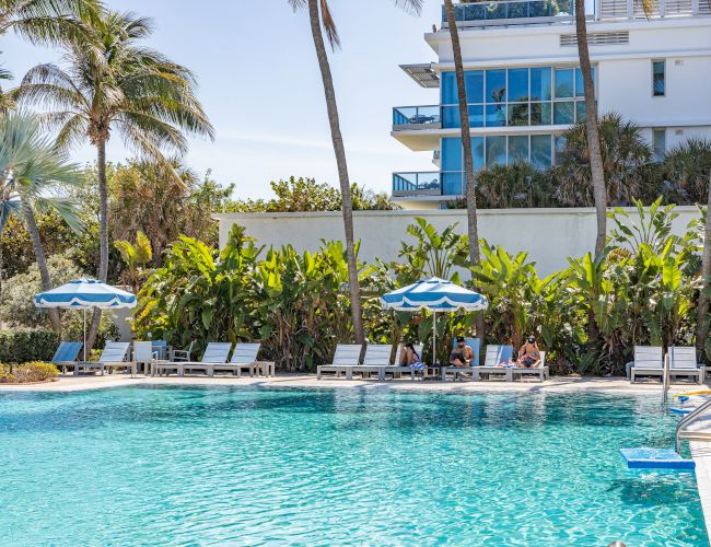 A serene poolside scene with lounge chairs, umbrellas, and palm trees under a clear blue sky.