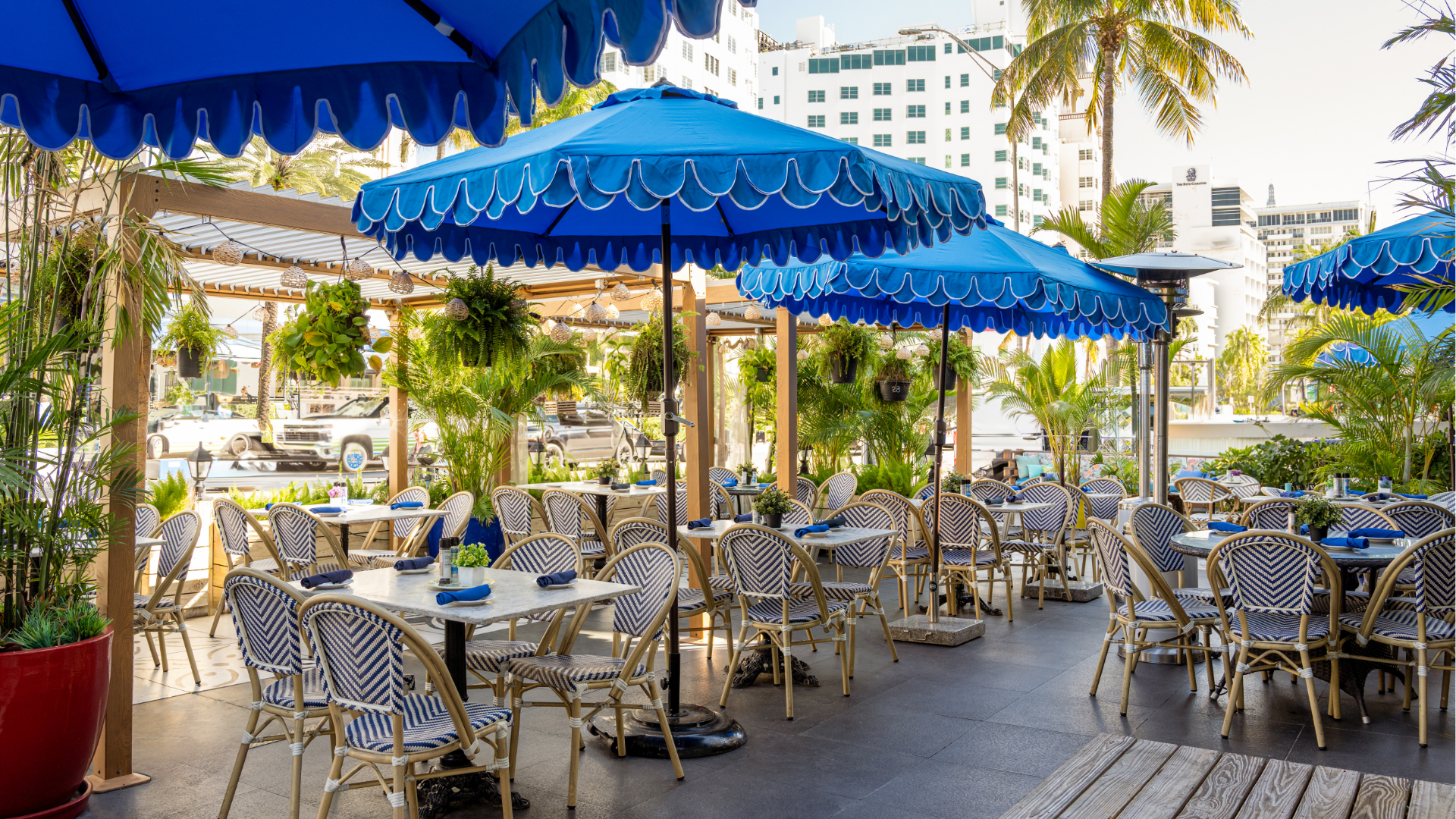 An outdoor dining area with blue umbrellas and palm trees.